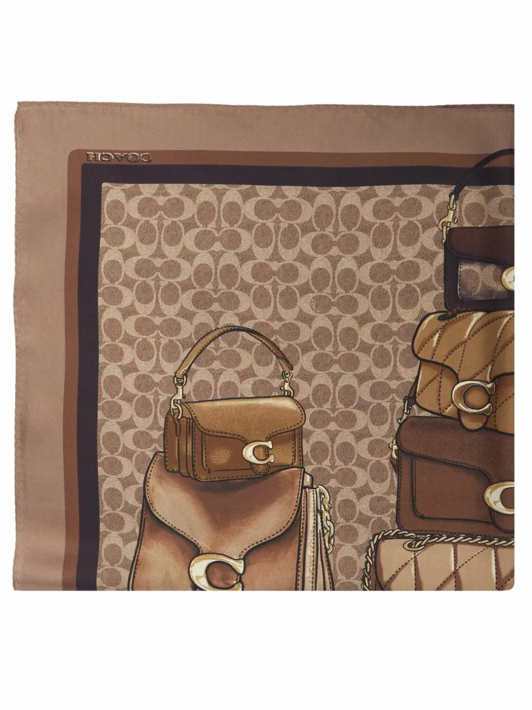 Foulard 29CAS76 Marrone