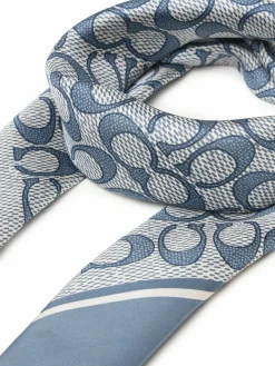 Foulard 29C2755 Blu
