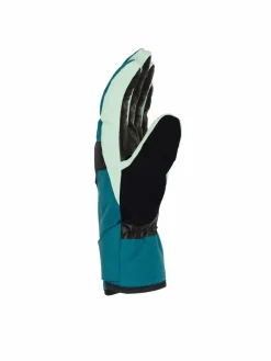 Guanti da sci Franchise ADYHN03030 Verde