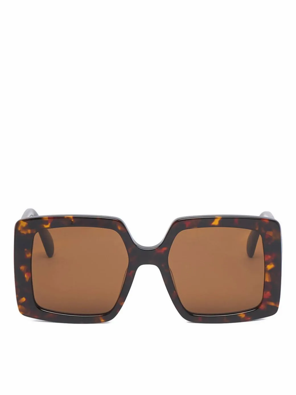 Occhiali da sole CEO-NW6629S Marrone scuro