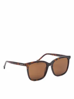 Occhiali da sole CEO-NW6626S Marrone scuro