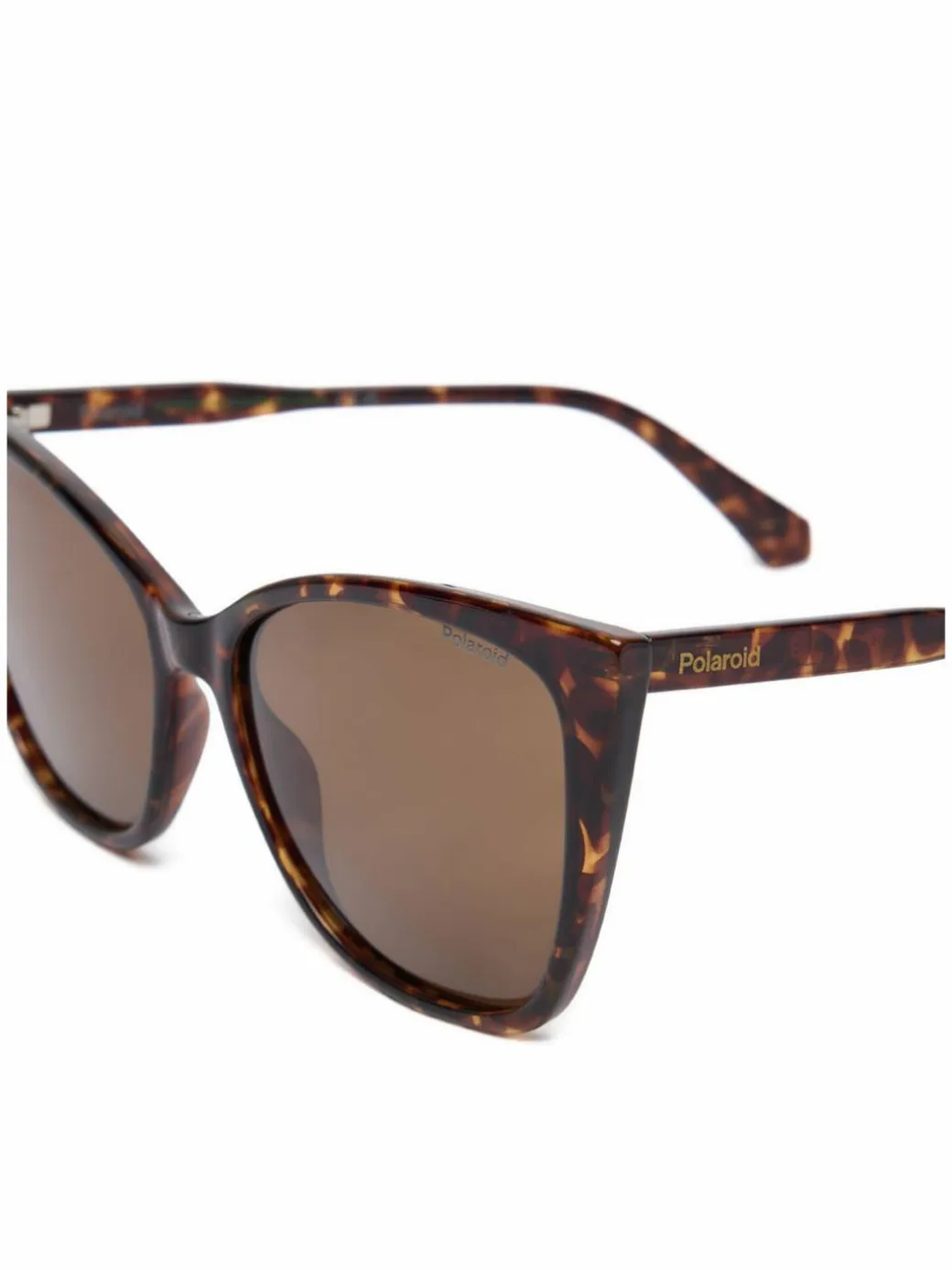 Occhiali da sole C PLD 4181/S Marrone