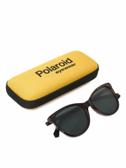 Occhiali da sole C PLD 4179/S Marrone