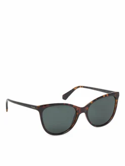 Occhiali da sole C PLD 4179/S Marrone