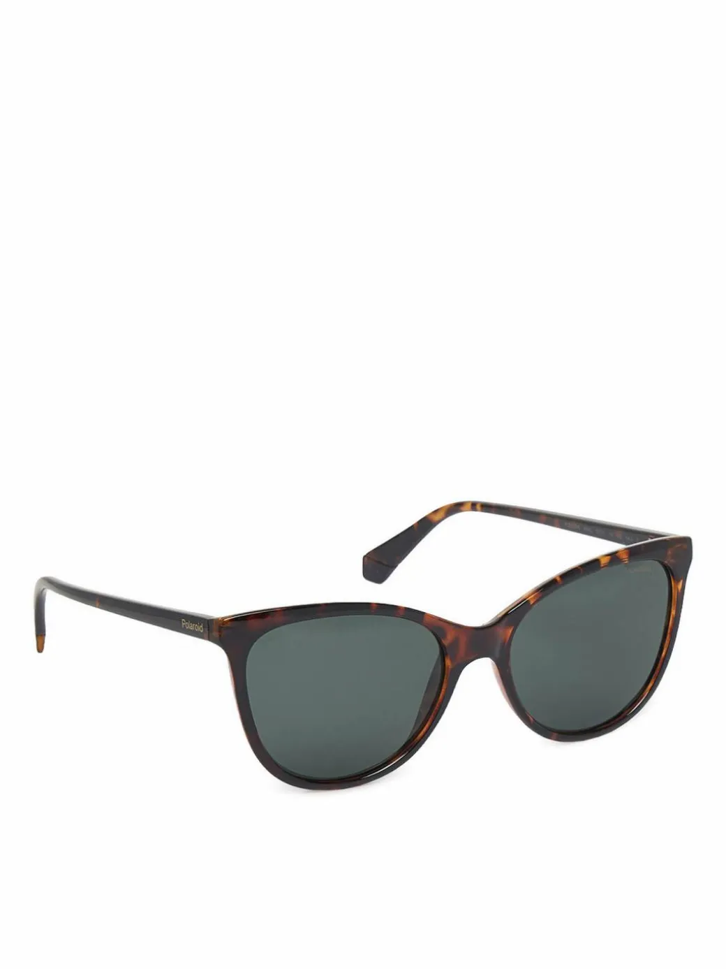 Occhiali da sole C PLD 4179/S Marrone