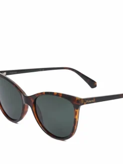 Occhiali da sole C PLD 4179/S Marrone
