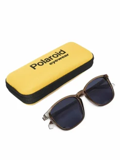 Occhiali da sole C PLD 4139/S Marrone