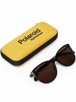 Occhiali da sole C PLD 4138/S Marrone