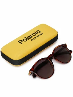 Occhiali da sole PLD 6098/S Marrone