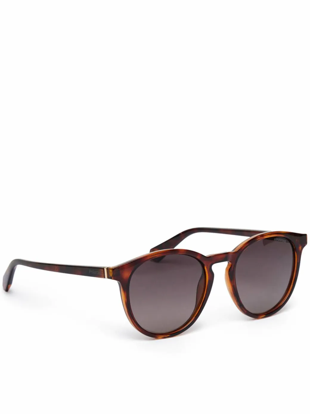 Occhiali da sole PLD 6098/S Marrone