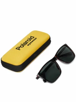 Occhiali da sole PLD 4180/S Marrone