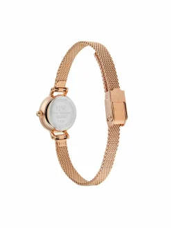 Orologio DW00100741 Rosa