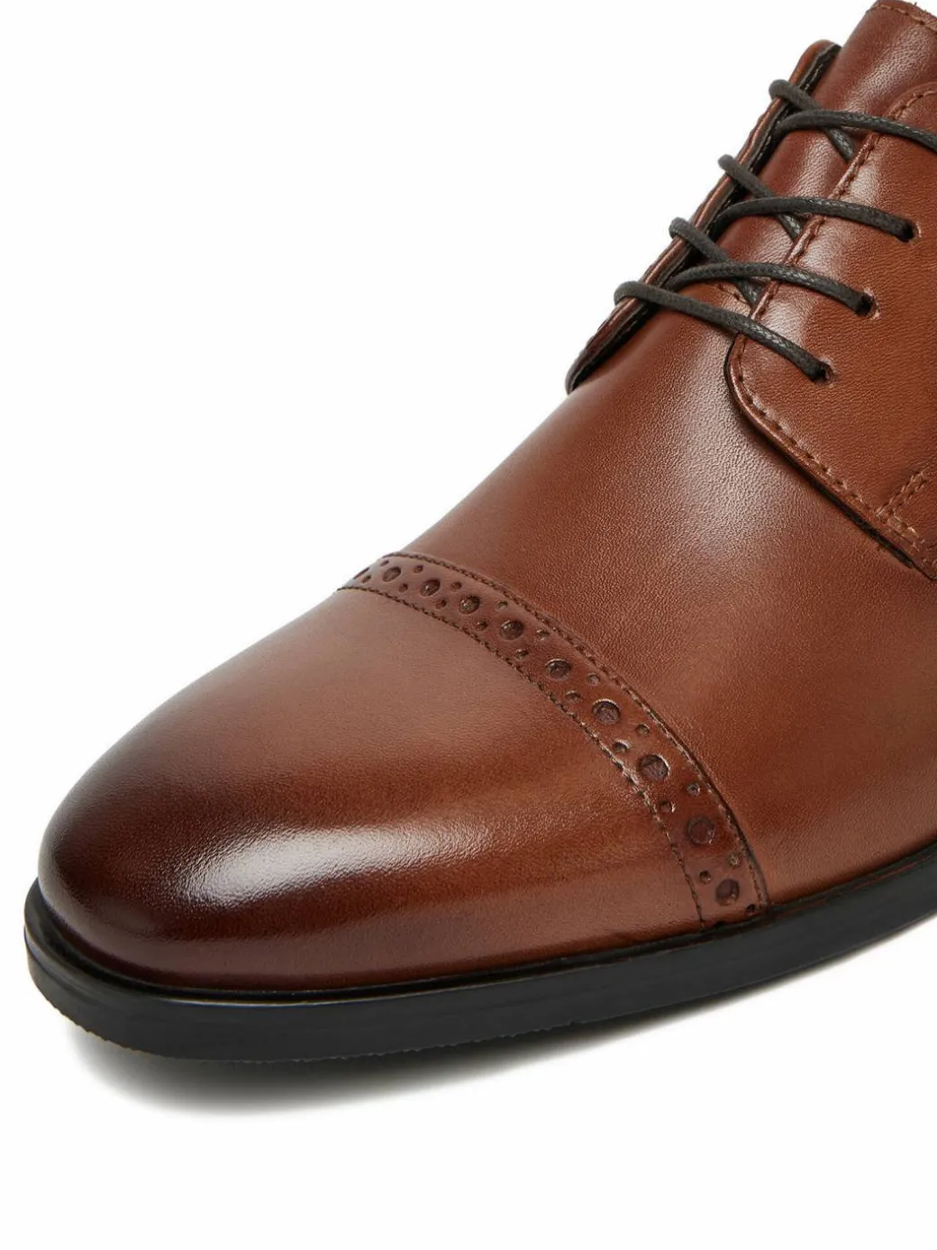 Scarpe basse CEO-PALMER-02 MI08 Marrone
