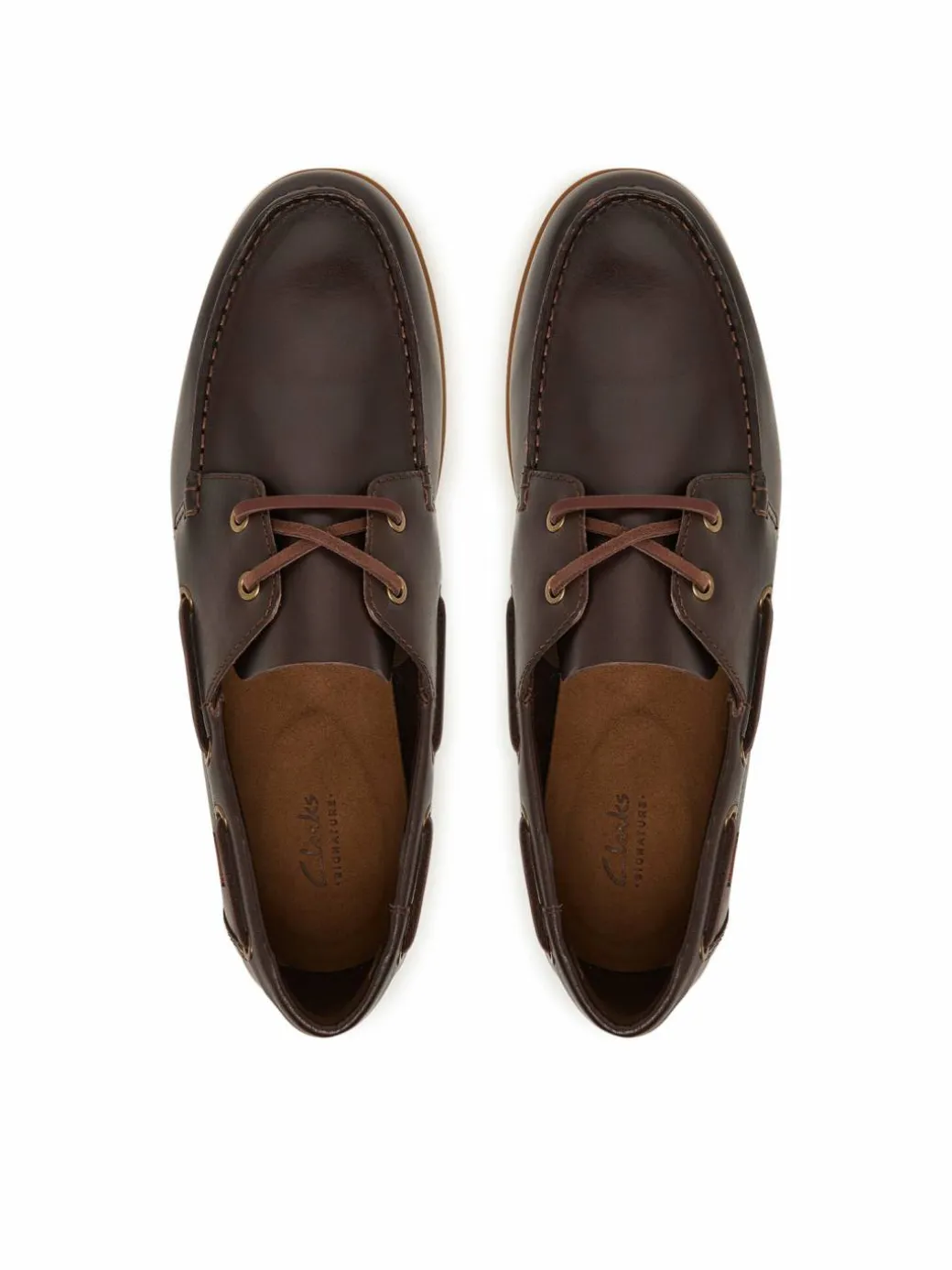 Scarpe basse Charmouth Lace 26186433 Marrone