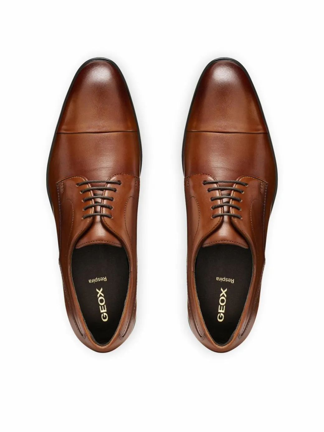 Scarpe basse U Thalos U66NYB 00043 C6001 Marrone
