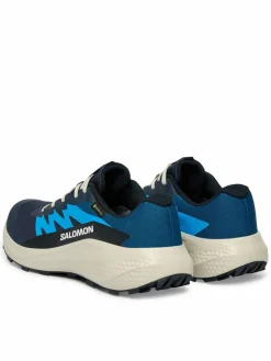 Scarpe running Alphaglide Gtx L47975100 Blu