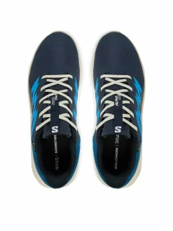 Scarpe running Alphaglide Gtx L47975100 Blu