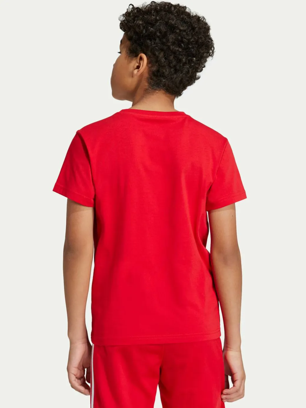 T-shirt adicolor Trefoil IY7423 Rosso Regular Fit