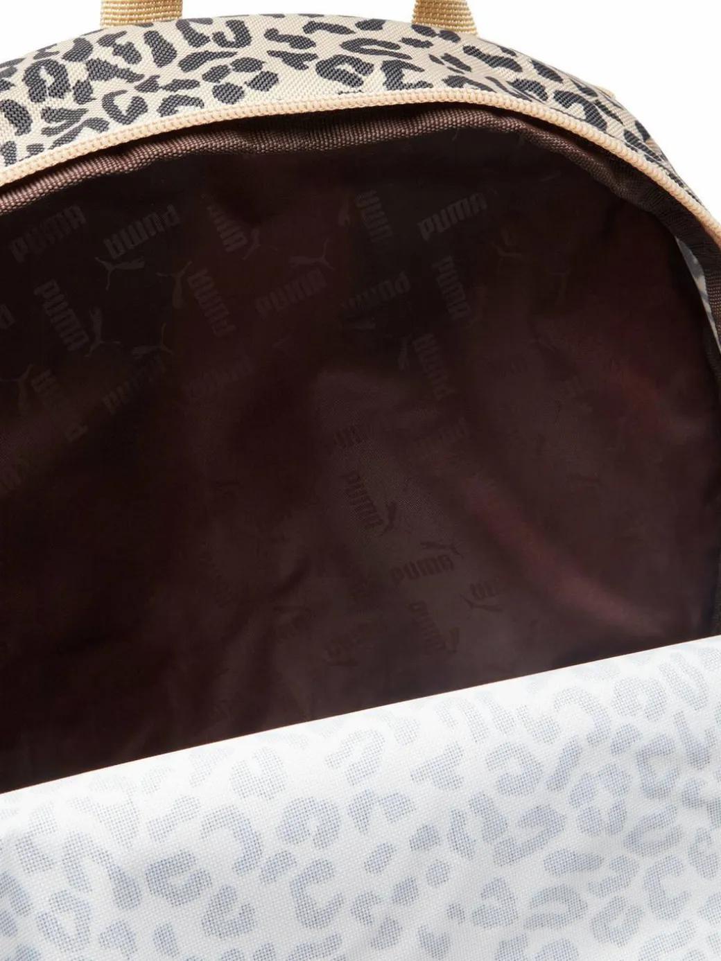Zaino C-PHASE 91169 08 Marrone
